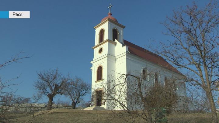 Európában is népszerű a pécsi mandulafa?