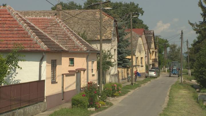 Kölkedi kitekintő