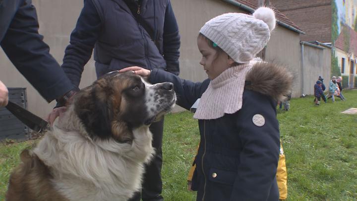 Kutyás bemutató az óvodában