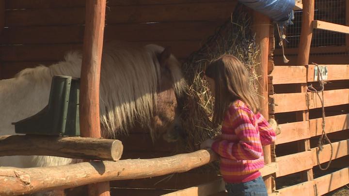 Látogatás a kozármislenyi Taka Tanyára