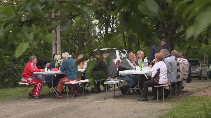 Nyugdíjas piknik a kátolyi pincesoron