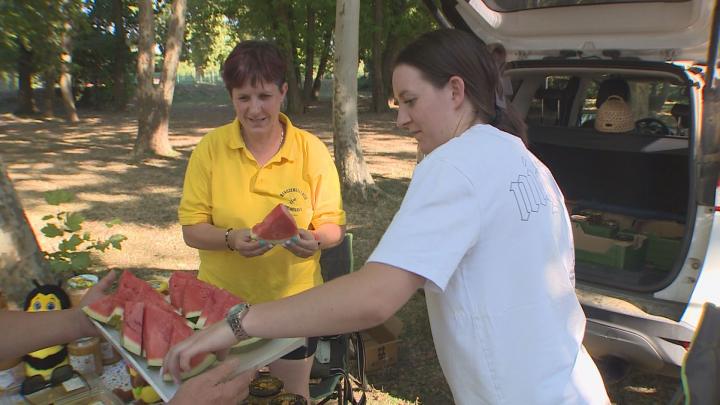 Termelői piac dinnye kóstoltatással