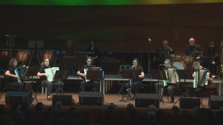 Megyei harmonika fesztivál