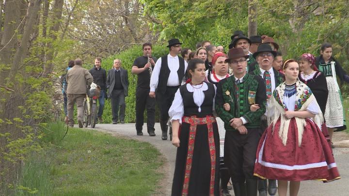 A Sátorhelyi Néptáncegyüttes a bólyi pincesoron