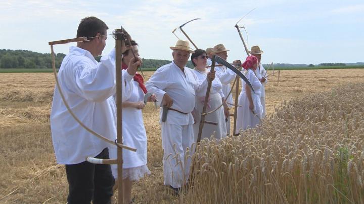 Aratónap a hagyományápolás jegyében