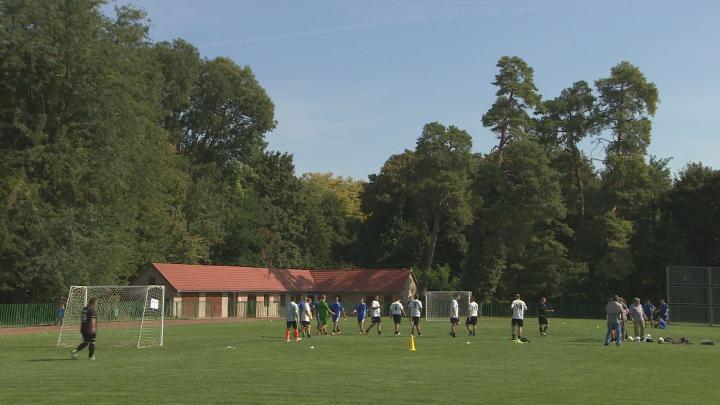 Bonafarm kupa a kastélyparkban