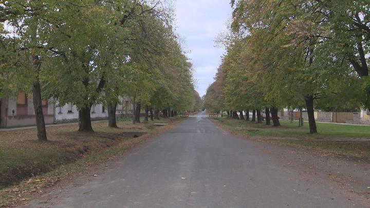 Levéltenger Nagynyárád főutcáján