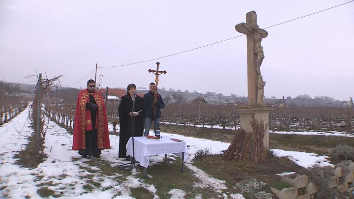 Vince-nap Villányban